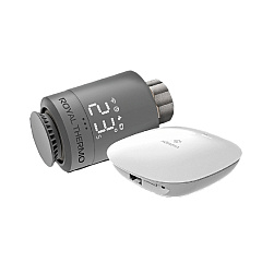 Терморегуляторы