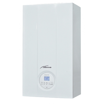 Настенные газовые двухконтурные котлы