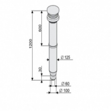 Вертикальный проход через крышу коаксиальный Protherm (черный), 60/100