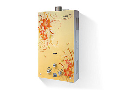 Газовая колонка Oasis TUR BG 20