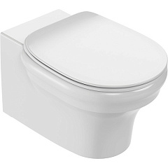 Унитаз подвесной Jacob Delafon Cleo EDZ102-0 безободковый, белый