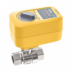 Кран с электроприводом Neptun PROFI 220В 1