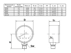Манометр Watts F+R250 100/16, радиальный