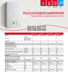 Настенный газовый конденсационный котел отопления Protherm Рысь К 25/30 MKV