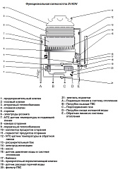 Настенный газовый двухконтурный котел отопления Protherm Пантера 25 KOV