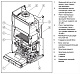 Настенный газовый двухконтурный котел отопления Vaillant atmoTEC plus VUW 200/5-5 (0010015259)