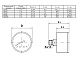 Манометр Watts F+R150 80/16, аксиальный