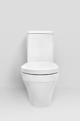 Унитаз-компакт AM.PM Inspire C508607WH