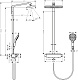 Душевая колонна Hansgrohe Raindance Select Showerpipe 360 27112400